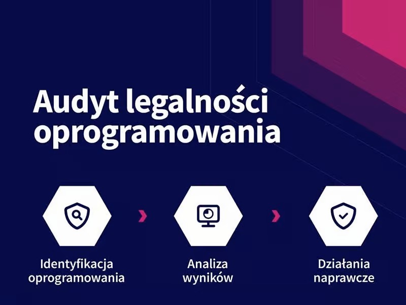 audyt oprogramowania co to jest